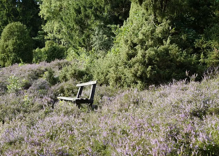 Ferienpension Lindenhof - In Der Lueneburger Heide